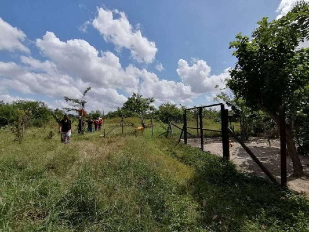 Hallan tres cuerpos putrefactos en la colonia Las Torres de Cortés