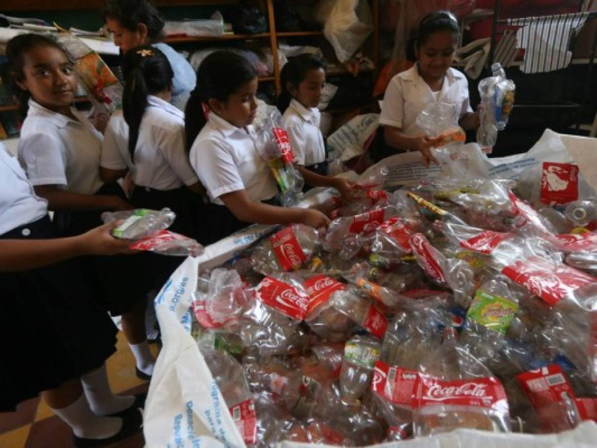 Alumnas del CEB República de Argentina buscan conquistar el primer lugar en Escuelas Amigables con el Ambiente