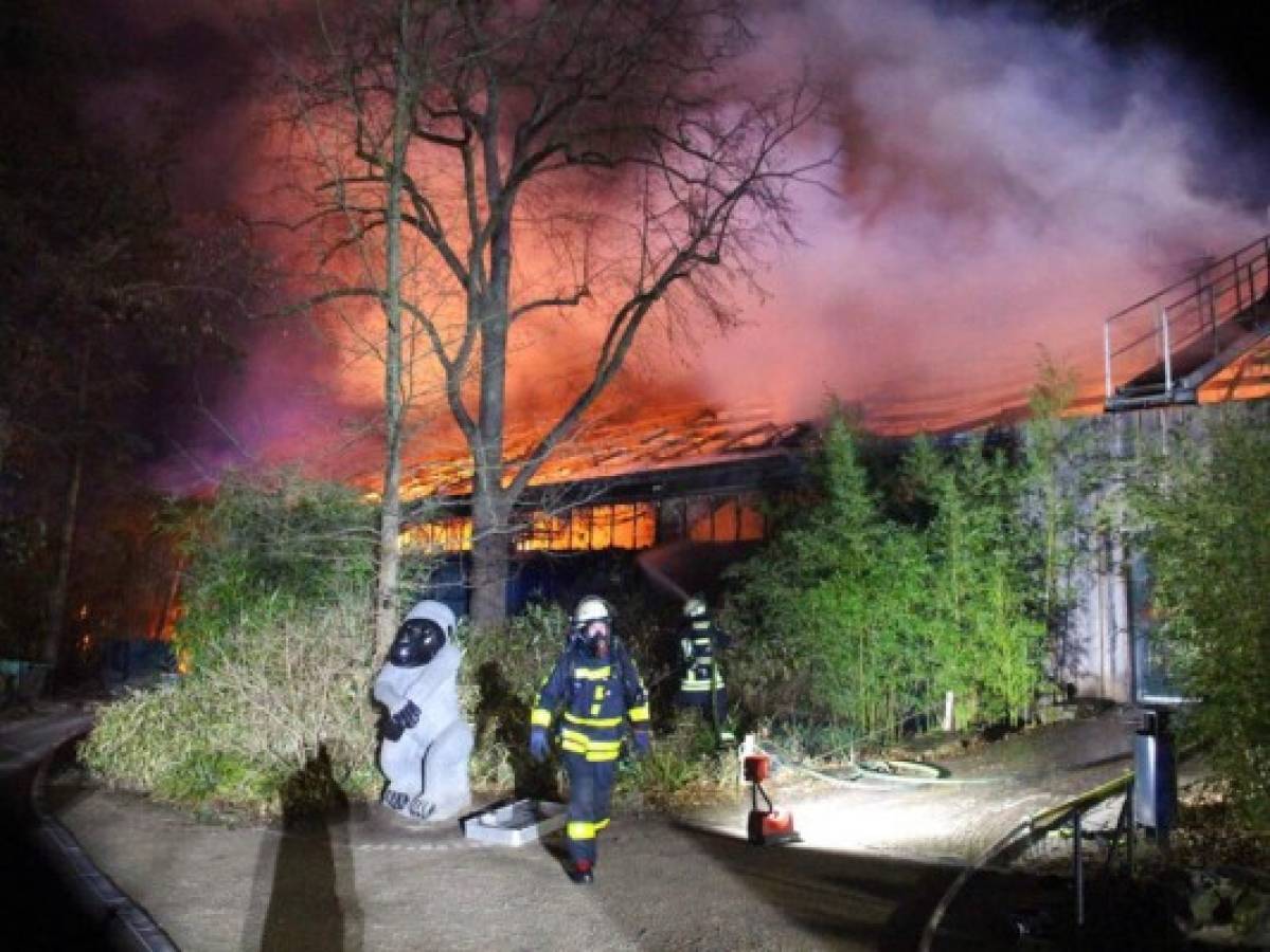 Incendio mata a más de 30 animales en zoo de Alemania 