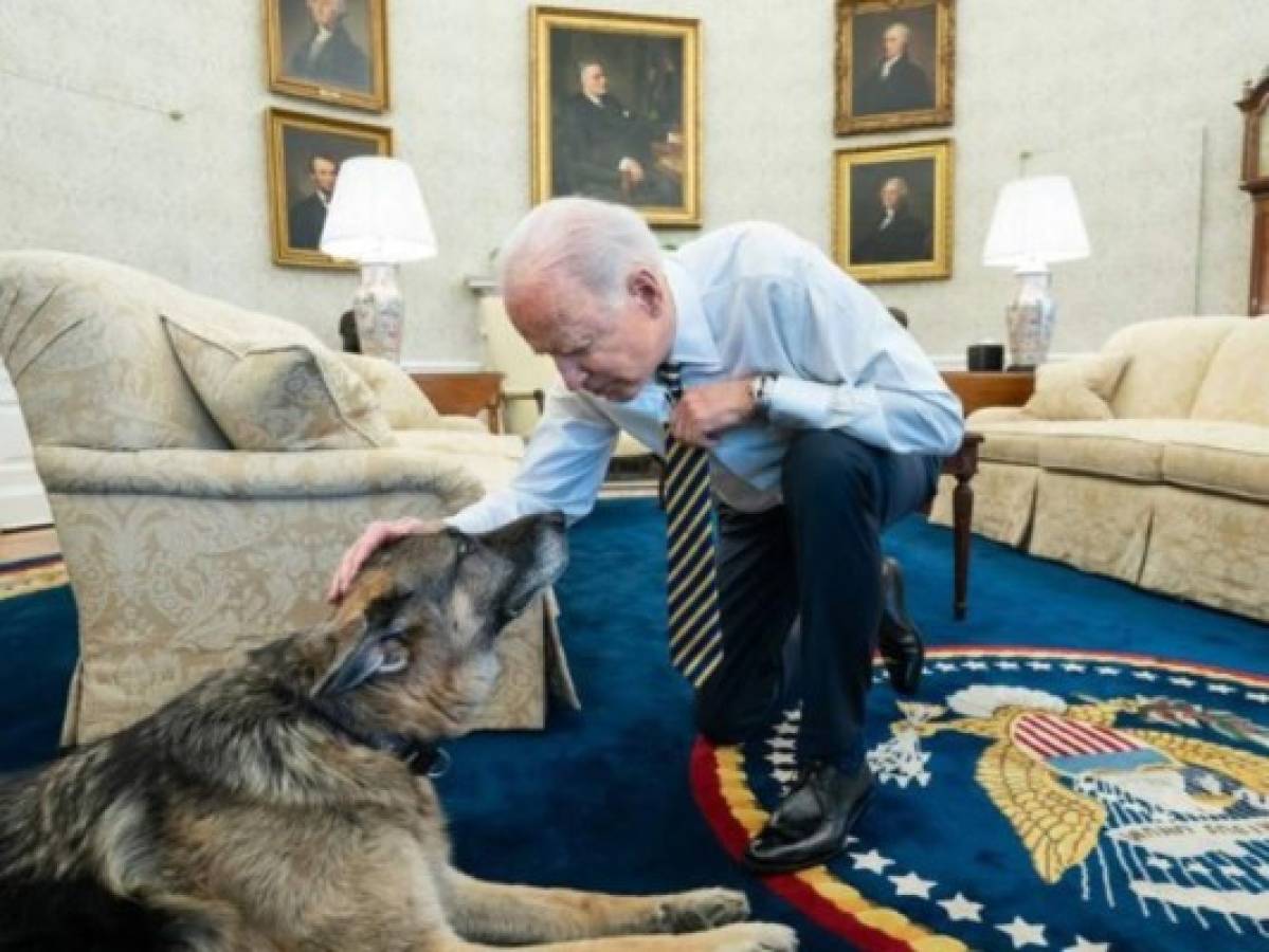 Murió Champ, uno de los perros de la familia de Joe Biden