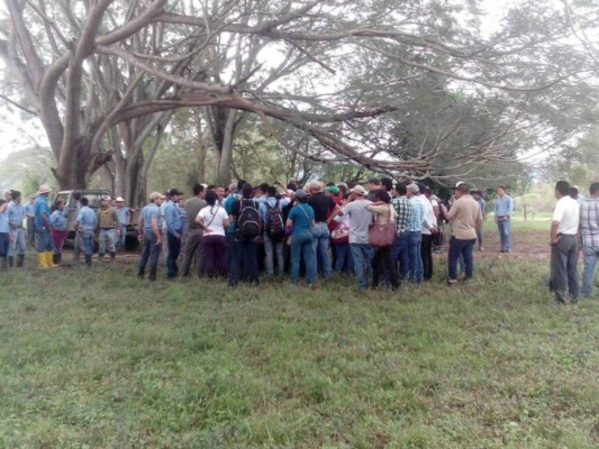 Honduras: Deuda de seis millones encuentra Interventora en UNA