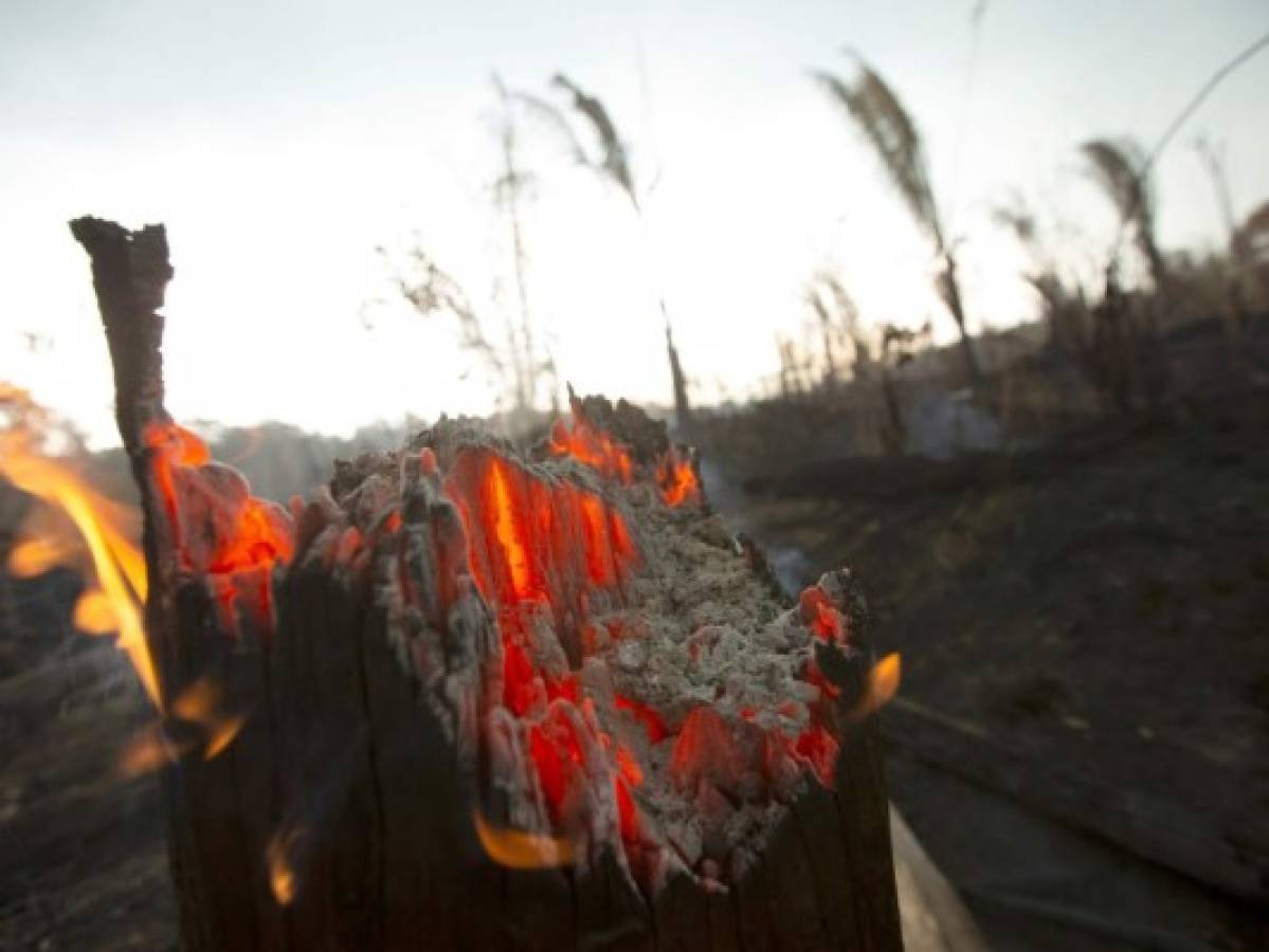 El humo del Amazonas: cómo afecta la salud de los suramericanos