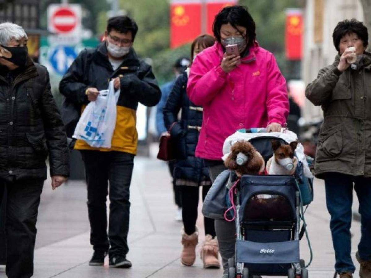 Investigan caso sospechoso de coronavirus en un perro en Hong Kong