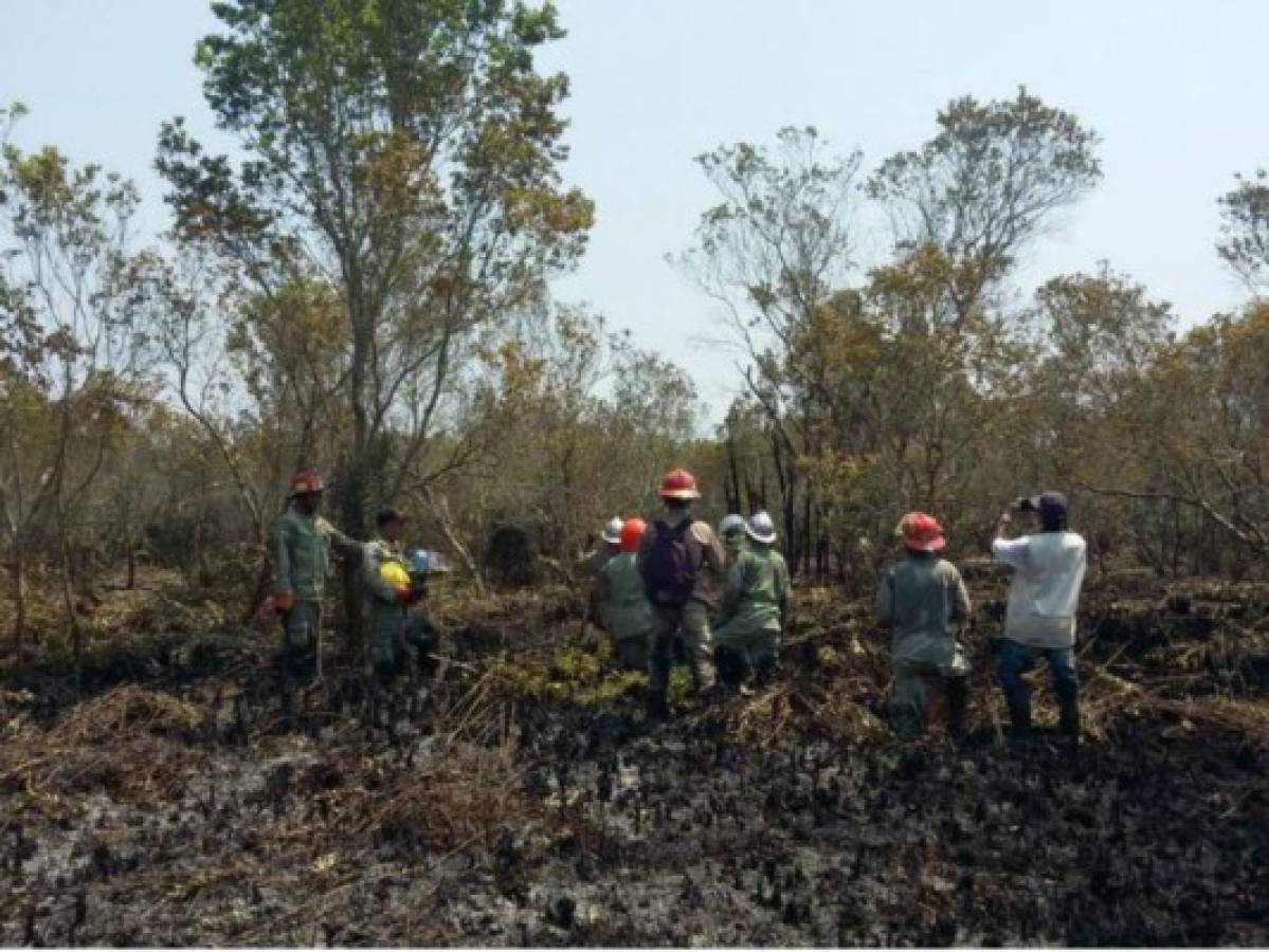 Apagan voraz incendio en Parque Nacional Jeannette Kawas