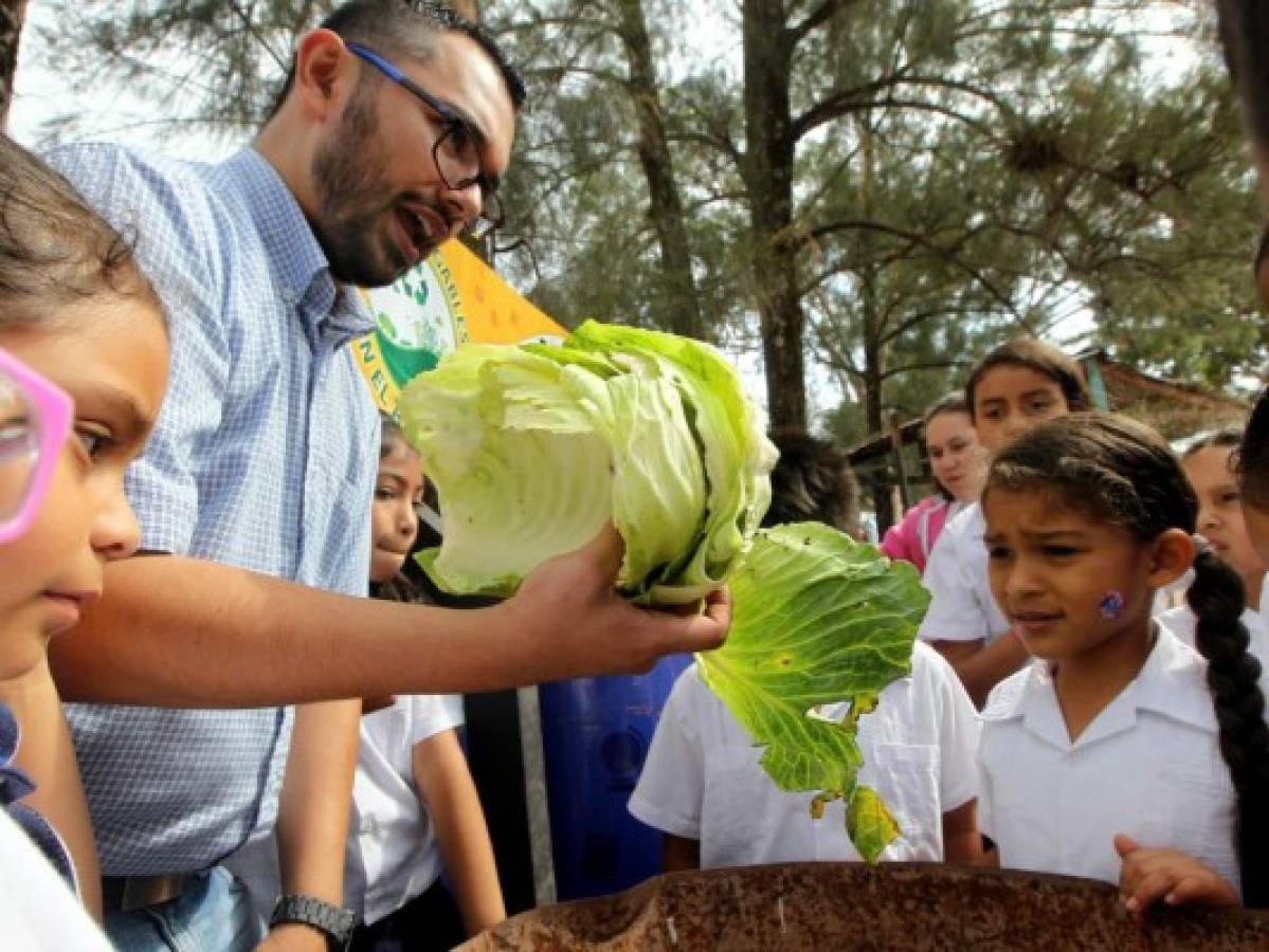 Con materia orgánica, alumnos aprenden a proteger el planeta