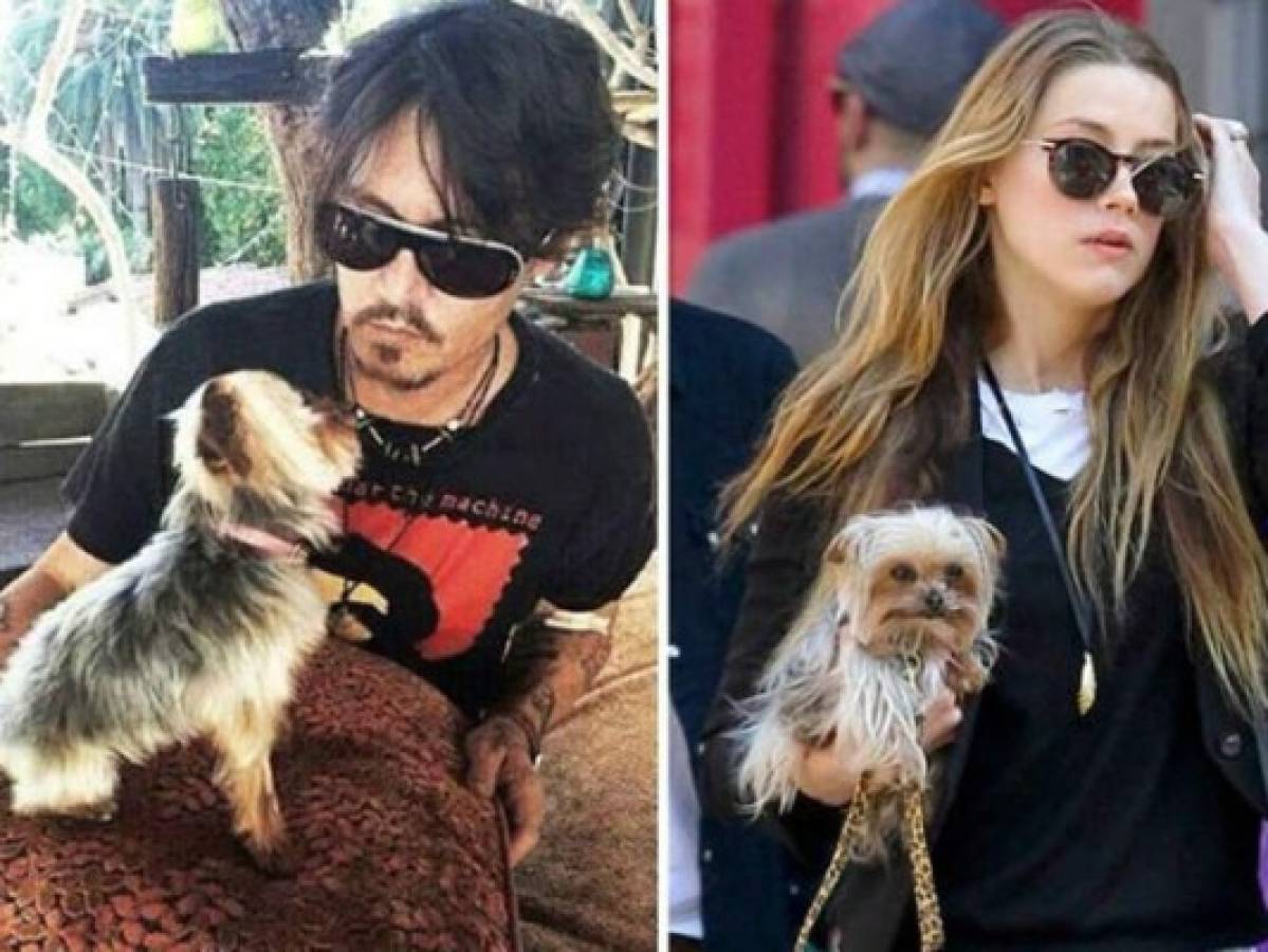 Johnny Depp y Amber Heard piden disculpas para no ir a la cárcel