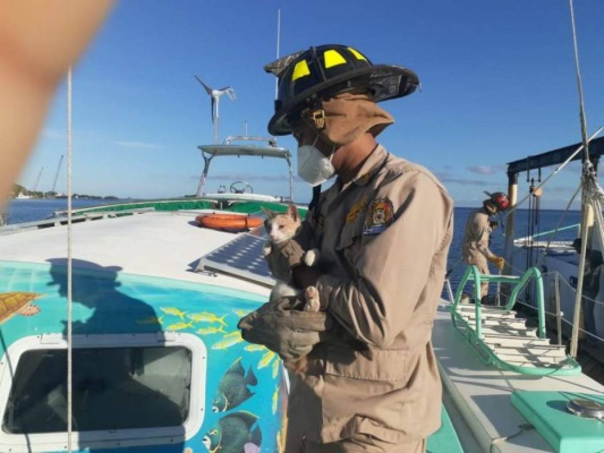 Bomberos rescatan a gato atrapado en tubería de un yate