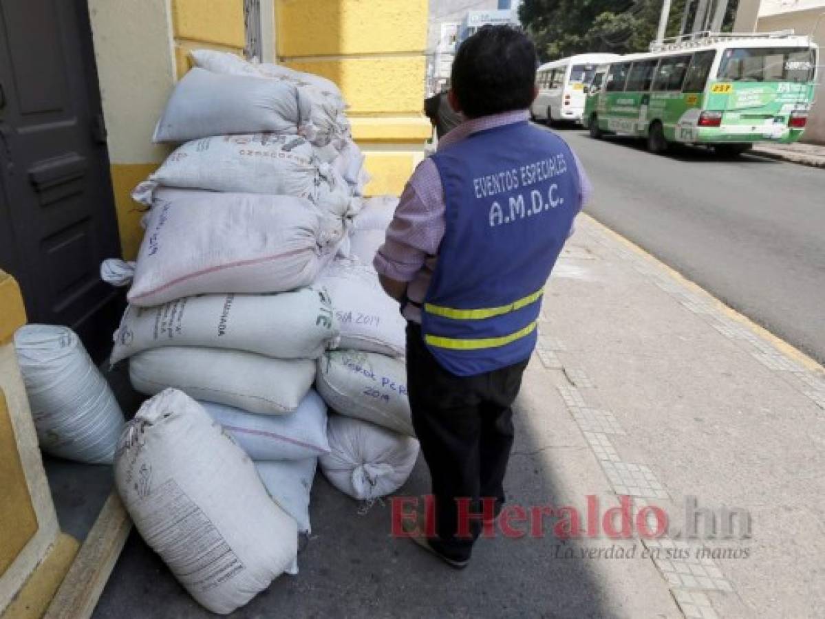 Lienzos de fe y creatividad cubrirán las calles de la capital