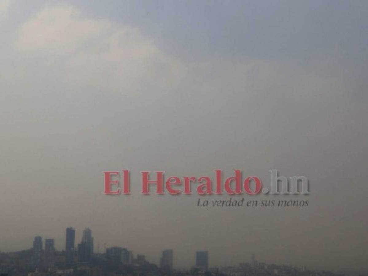 Los siniestros en bosques y solares baldíos afectan la calidad del aire de los capitalinos. Foto Johny Magallanes| EL HERALDO