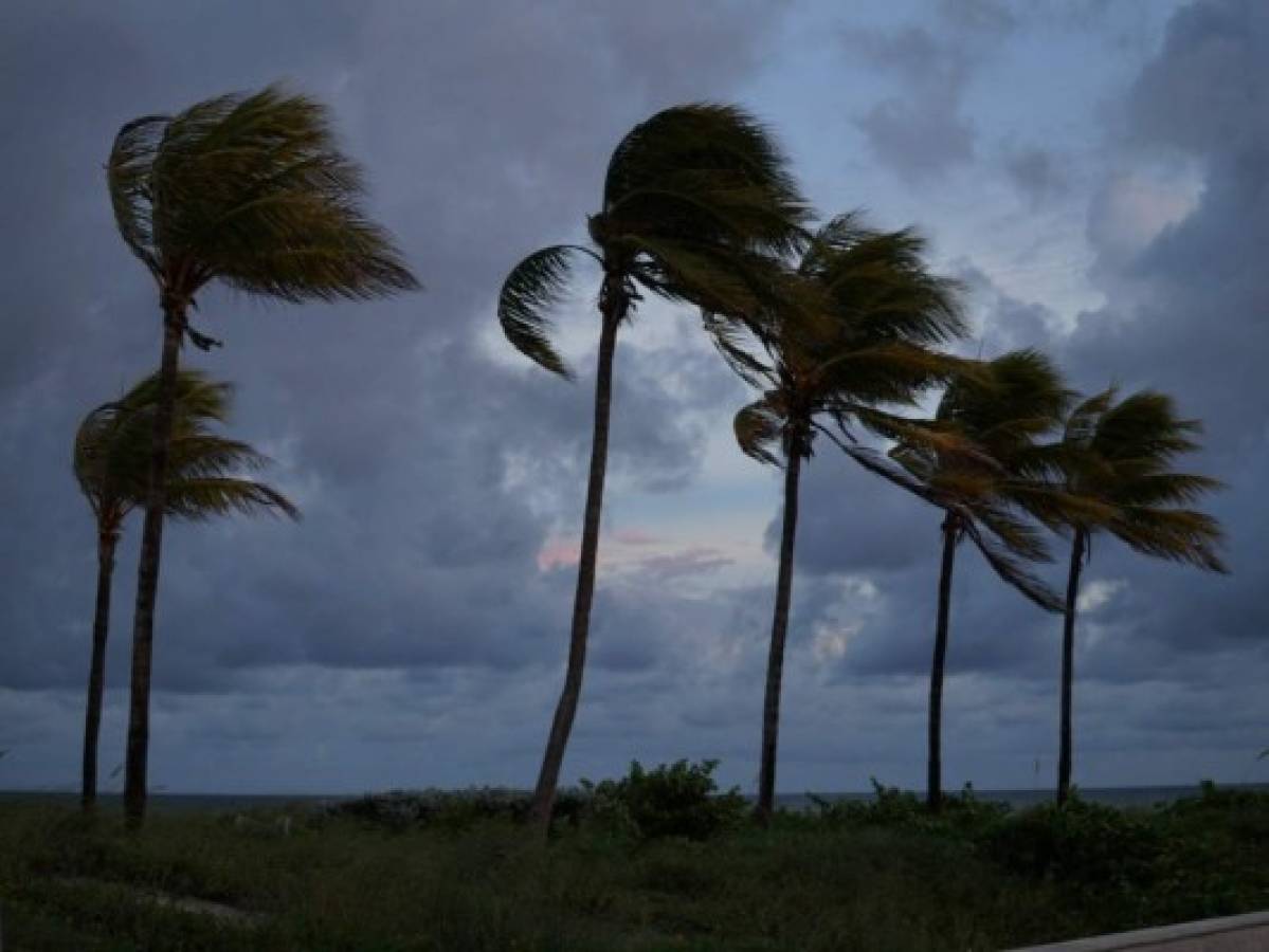 Estado de emergencia en Florida por tormenta tropical Emily