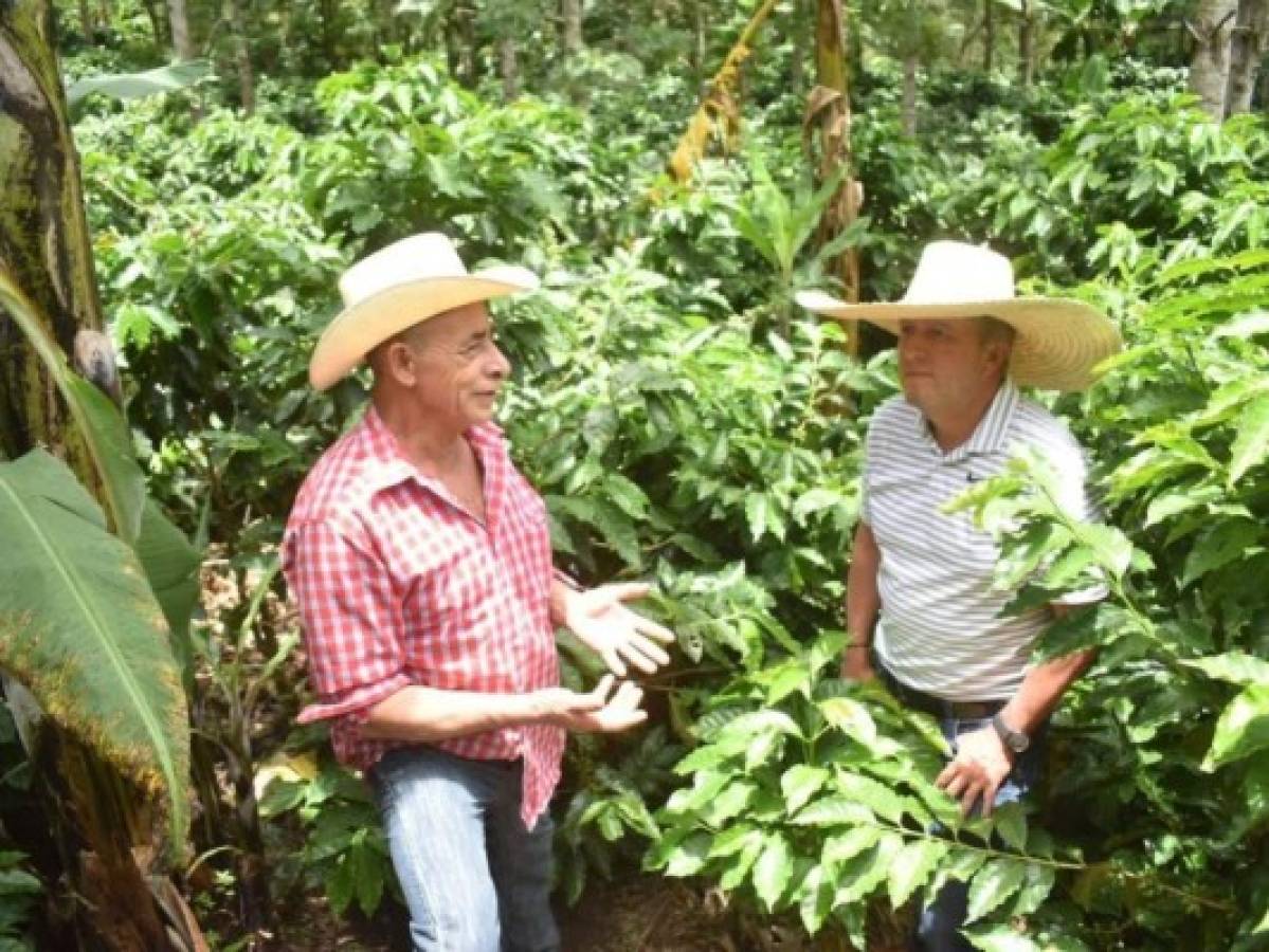 Las riquezas más importantes de la Región son la producción de agua y la diversidad biológica de los ecosistemas.