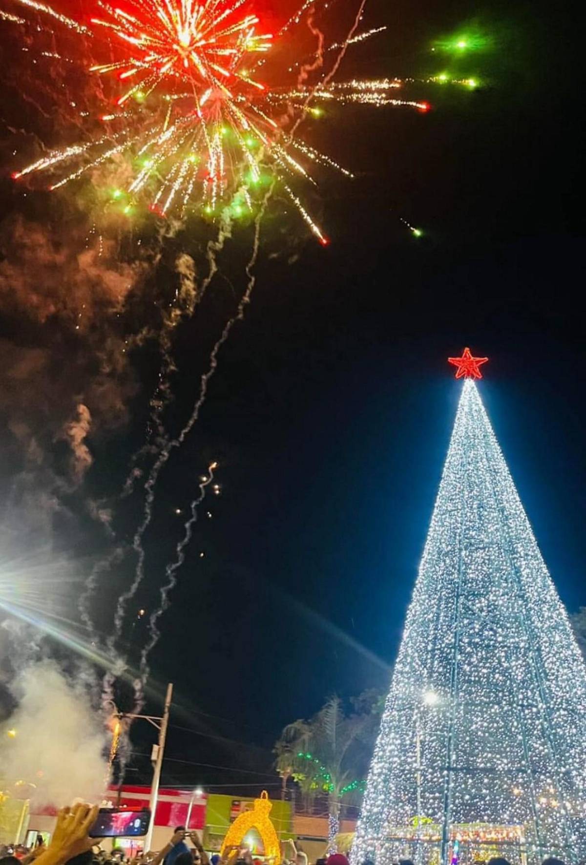 Con alegría y esplendor San Lorenzo da la bienvenida a la Navidad 2024