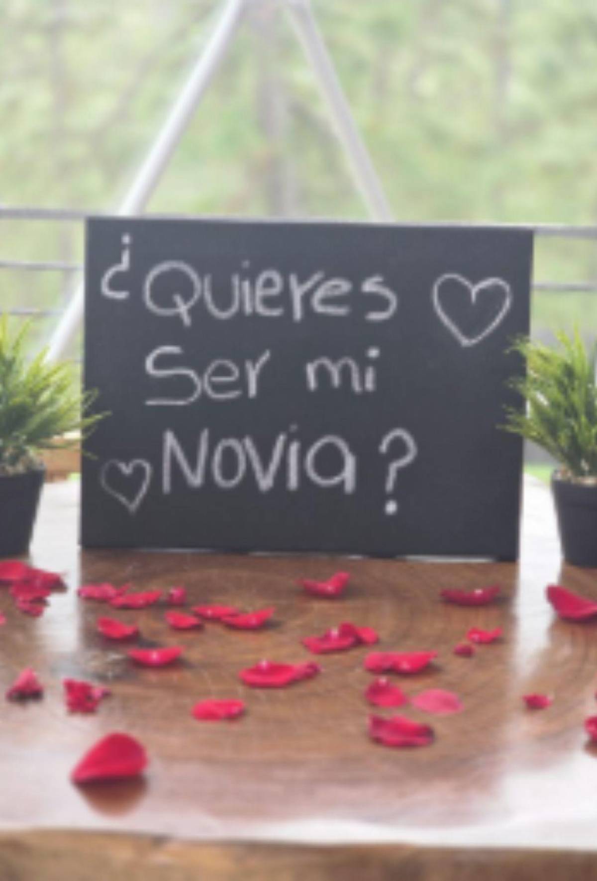 Las imágenes de la romántica propuesta de noviazgo a Milagro Flores