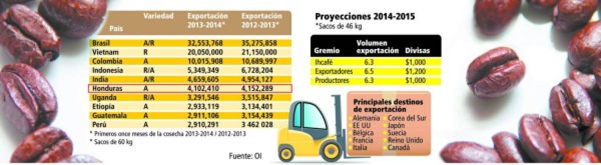 Caficultura inicia nuevo año con precios arriba de $200