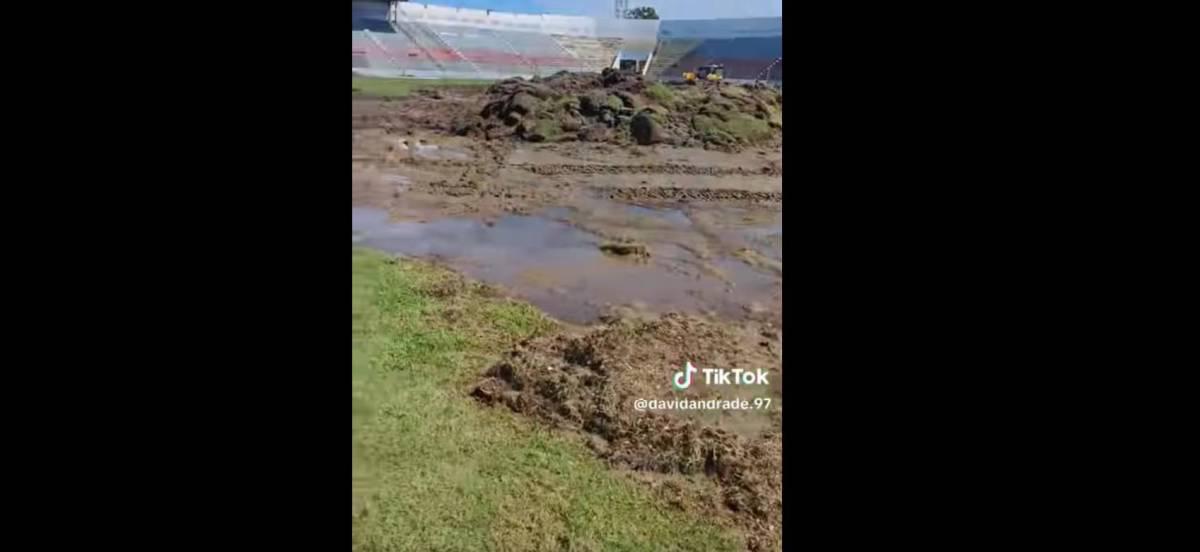 Así van los avances en el estadio Ceibeño con el cambio de grama híbrida ¿cuándo lo entregan?