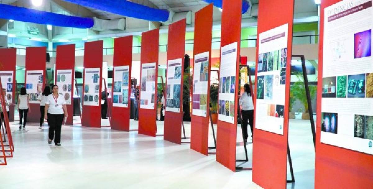 Impactante jornada de fe por exposición de la Sábana Santa en San Pedro Sula