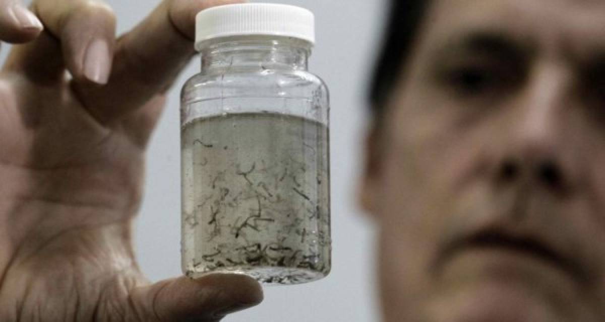 Costa Rica confirma ocho casos autóctonos de zika