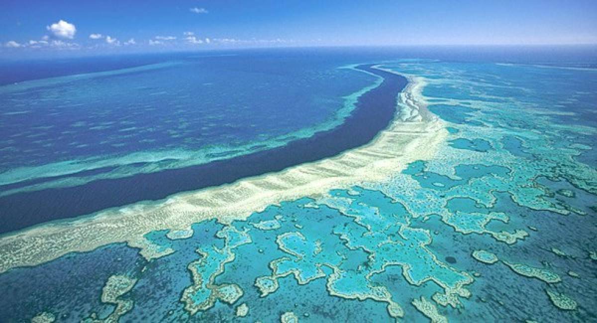 La Gran Barrera de Coral, más amenazada de lo que se pensaba