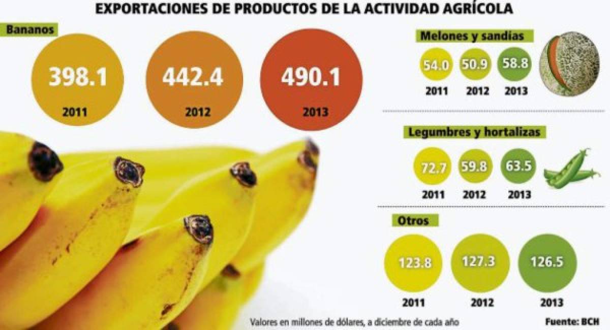 Banano hondureño está en riesgo por poderosa plaga