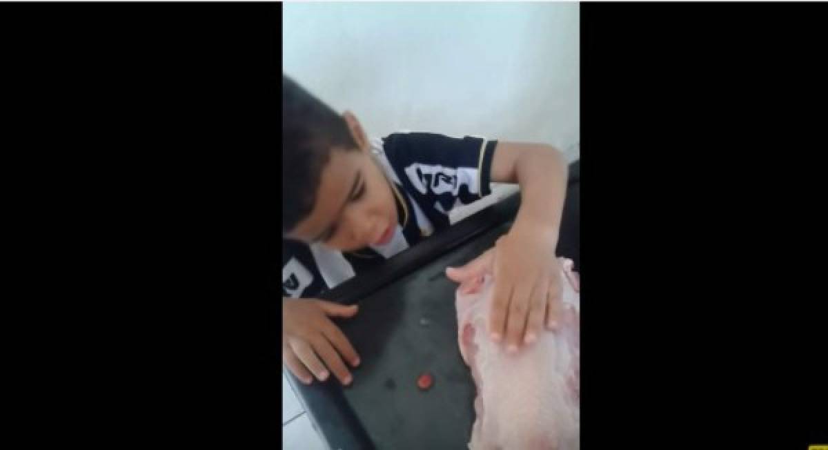 Niño llora de forma desconsolada para que su mami no cocine un pollo ya muerto