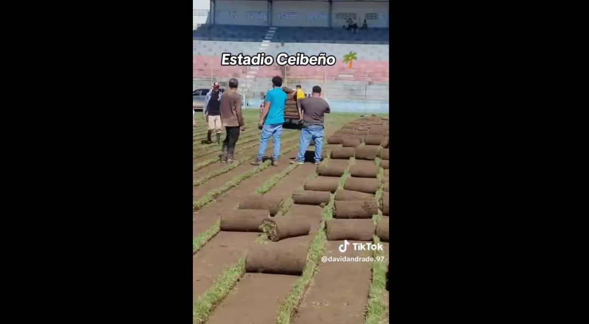 Así van los avances en el estadio Ceibeño con el cambio de grama híbrida ¿cuándo lo entregan?