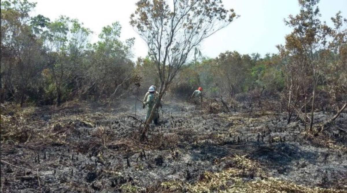 Apagan voraz incendio en Parque Nacional Jeannette Kawas