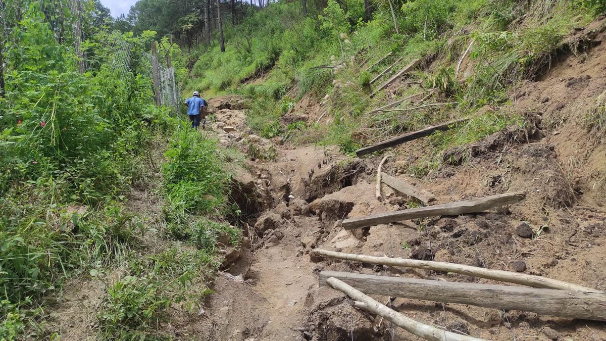 Trojes, El Paraíso, urge de apoyo tras desastre provocado por las lluvias