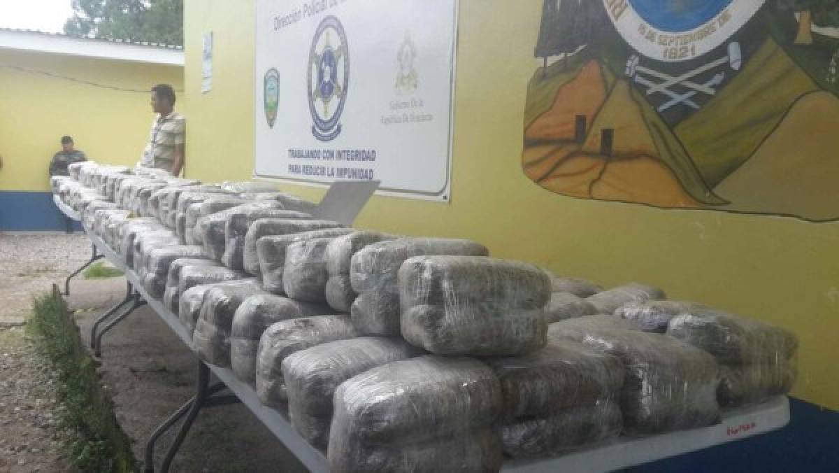 Honduras: En cargamento de naranjas transportaban 439 libras de marihuana