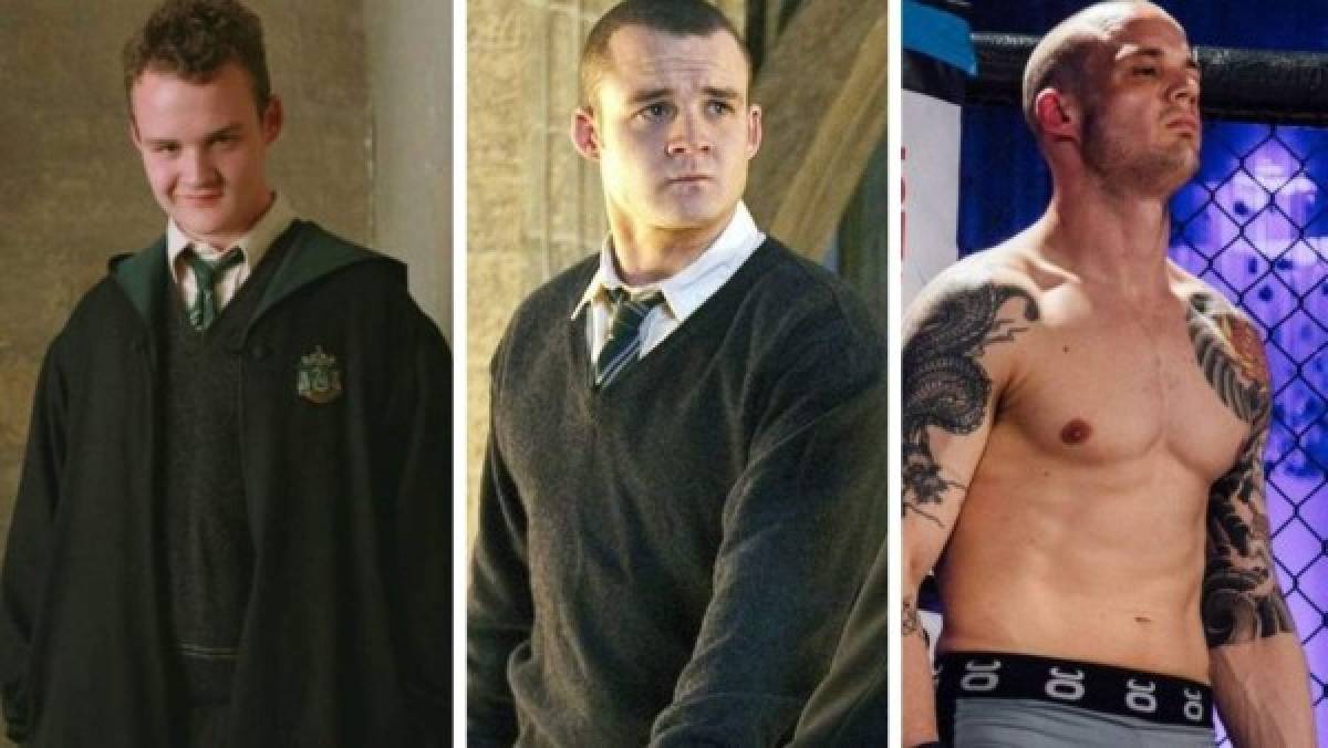 ¿Que hacen de su vida Gregory Goyle y Draco Malfoy de Harry Potter?