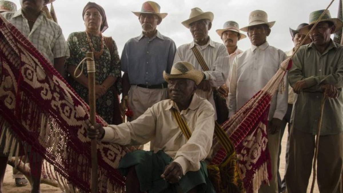 latinoamérica va por la gloria de los premios oscar 2019