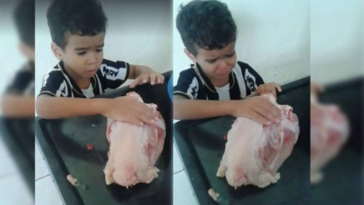 Niño llora de forma desconsolada para que su mami no cocine un pollo ya muerto