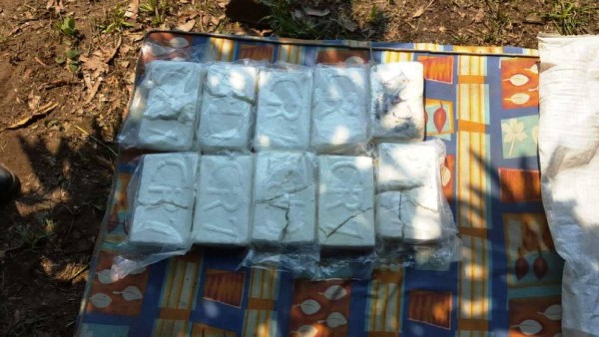 Decomisan 229 paquetes de supuesta droga en Balfate  