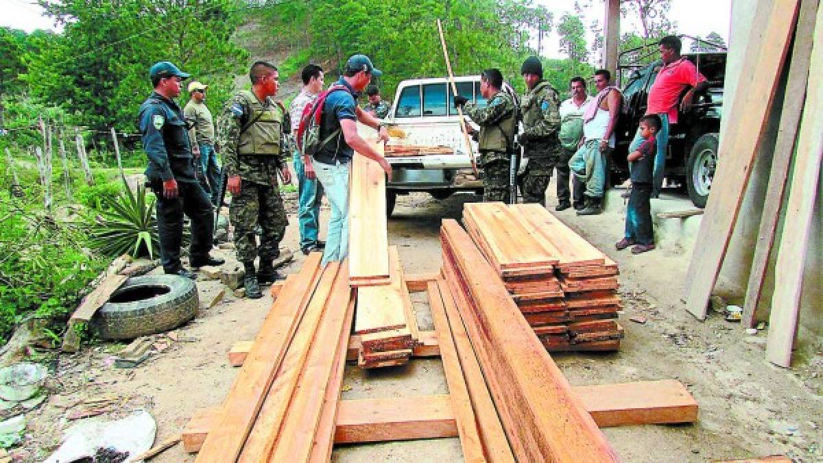 Destruidas 63 mil hectáreas de bosque en Comayagua