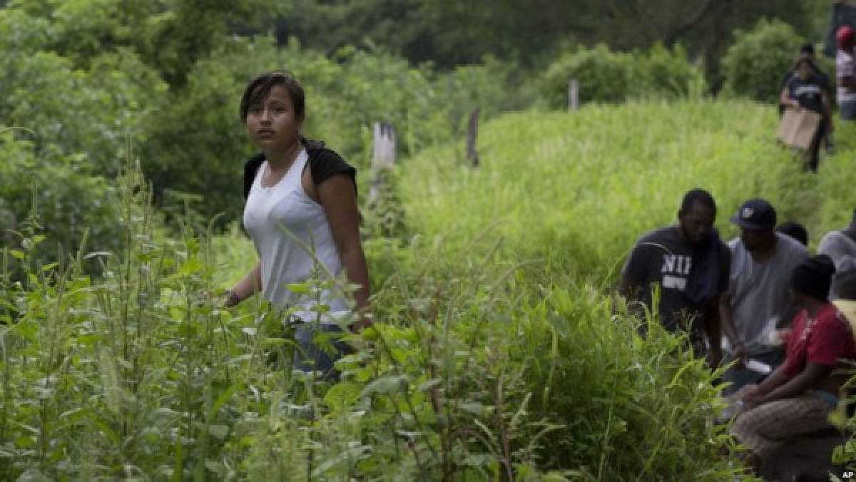 Las mujeres refugiadas sufren violencia sexual durante su éxodo   