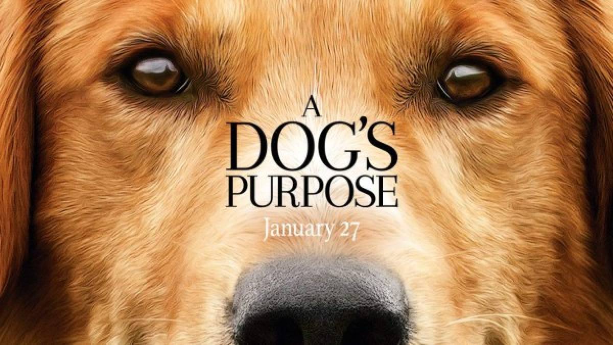 Video filtrado podría afectar 'A Dog's Purpose' en taquilla