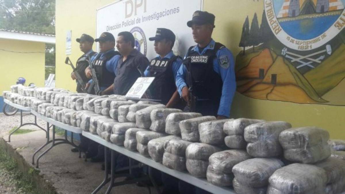 Honduras: En cargamento de naranjas transportaban 439 libras de marihuana