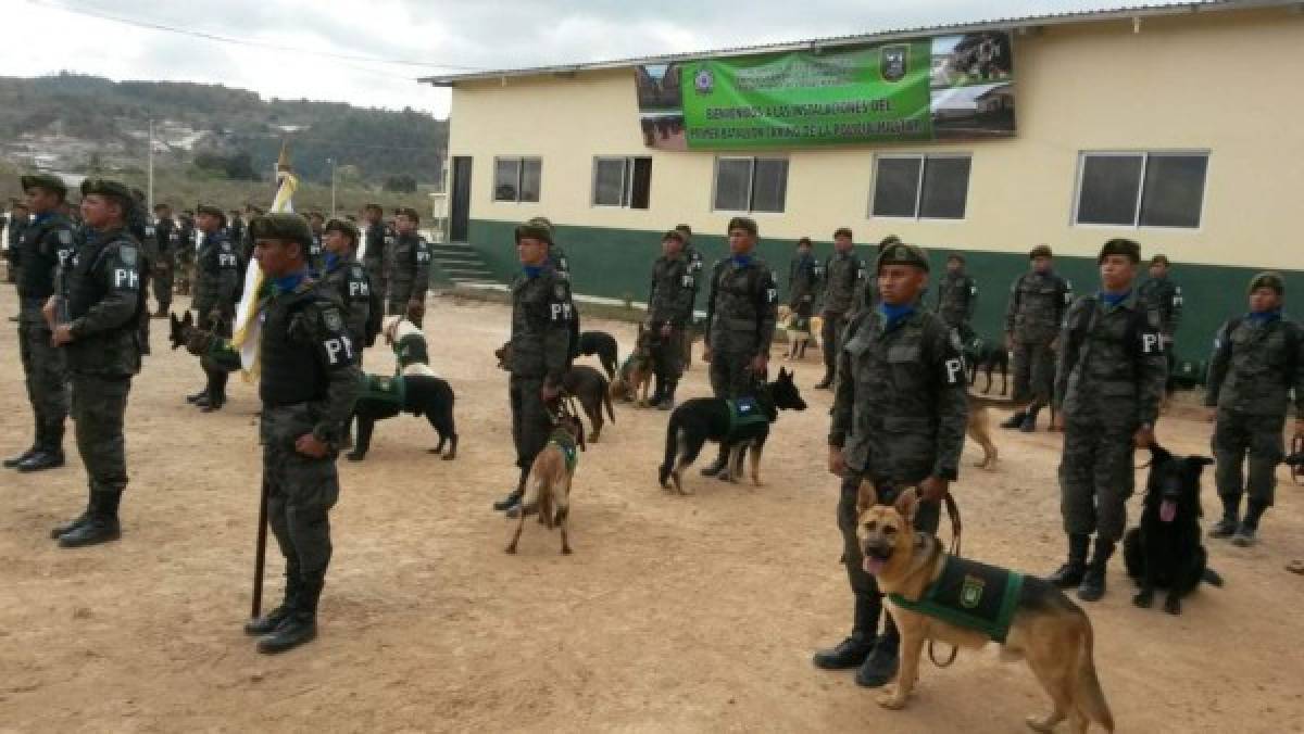 Honduras: Gradúan a grupo de guías caninos