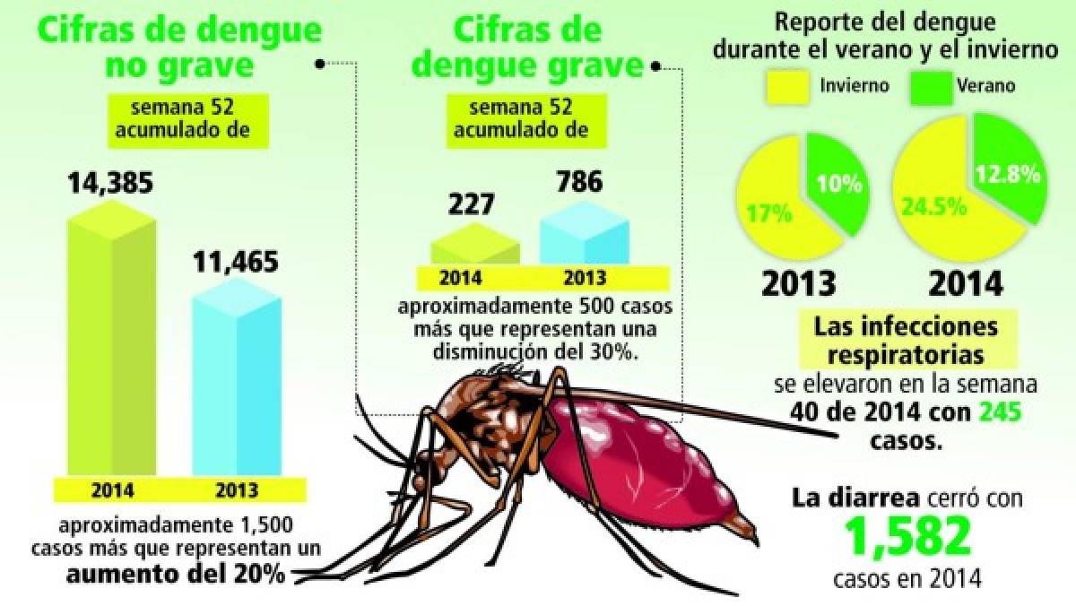 Aumento de casos de dengue presagia epidemia en la capital