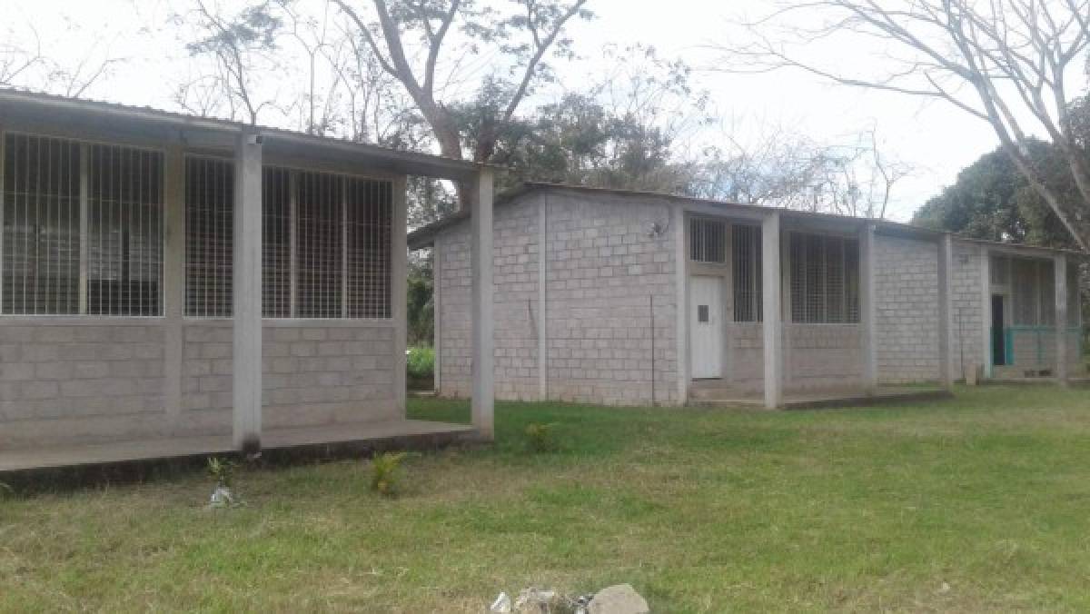 Los niños olanchanos que van a la Universidad Nacional de Agricultura (UNA)