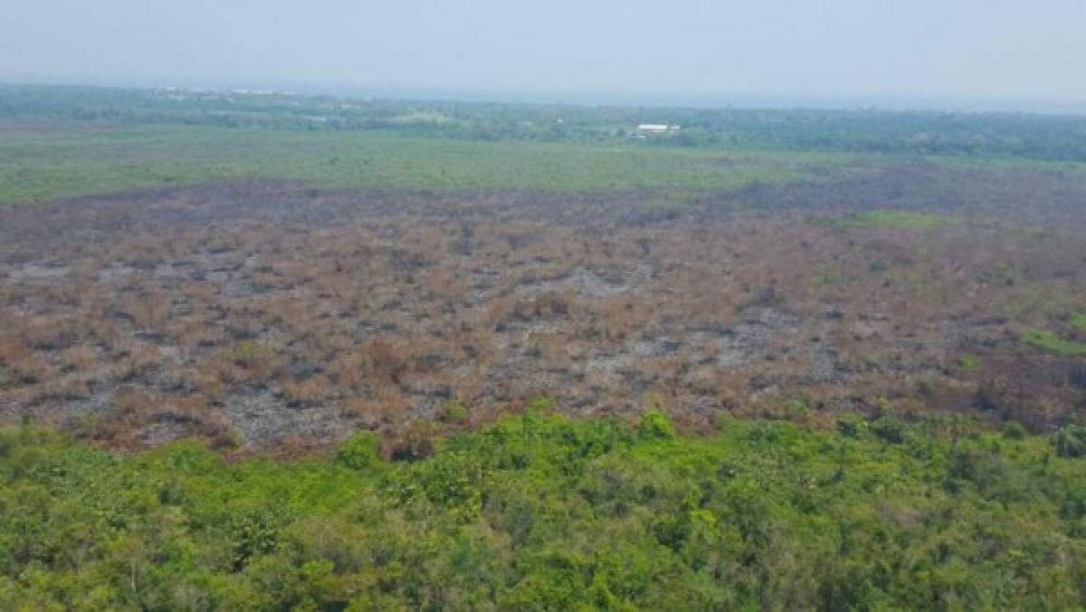 Apagan voraz incendio en Parque Nacional Jeannette Kawas