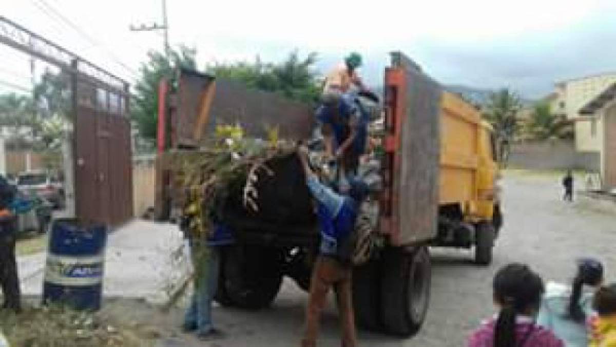 Colonias de la capital están siendo fumigadas para combate al zika     