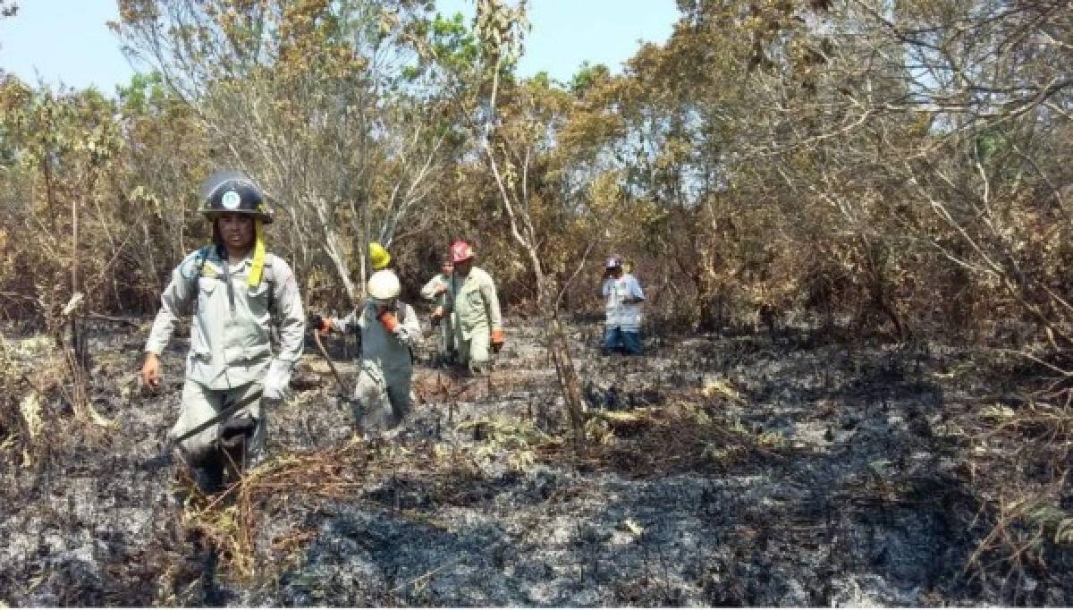 Apagan voraz incendio en Parque Nacional Jeannette Kawas