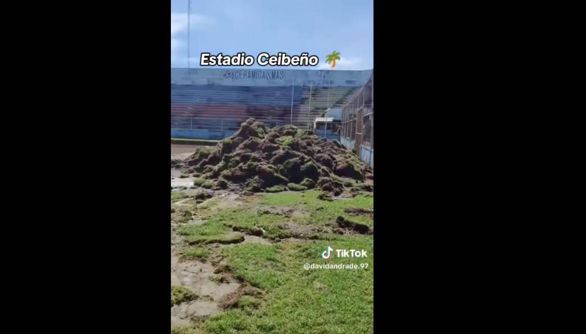 Así van los avances en el estadio Ceibeño con el cambio de grama híbrida ¿cuándo lo entregan?