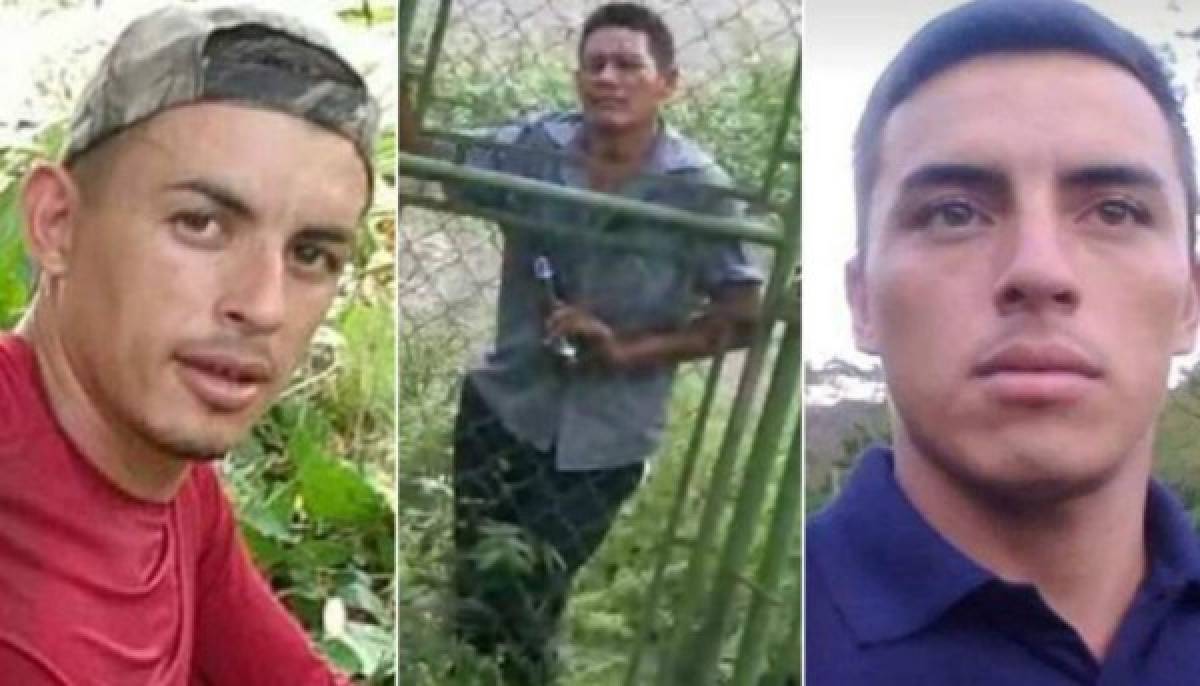 Banda de los Padilla Juárez estaría detrás de masacre en La Ceiba