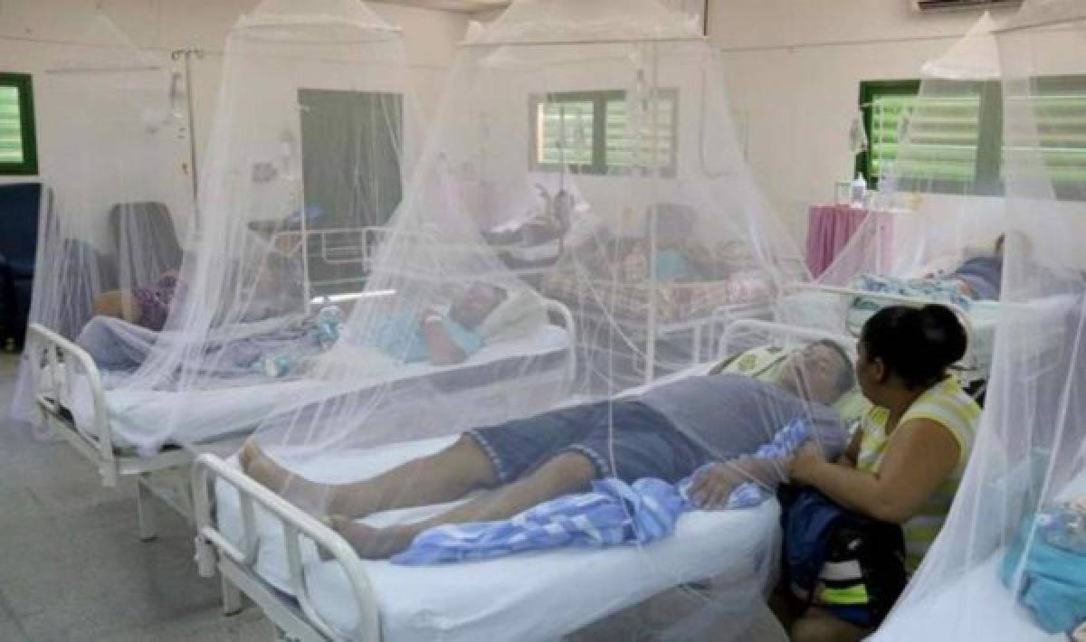 Paraguay reporta 16 muertes por dengue  