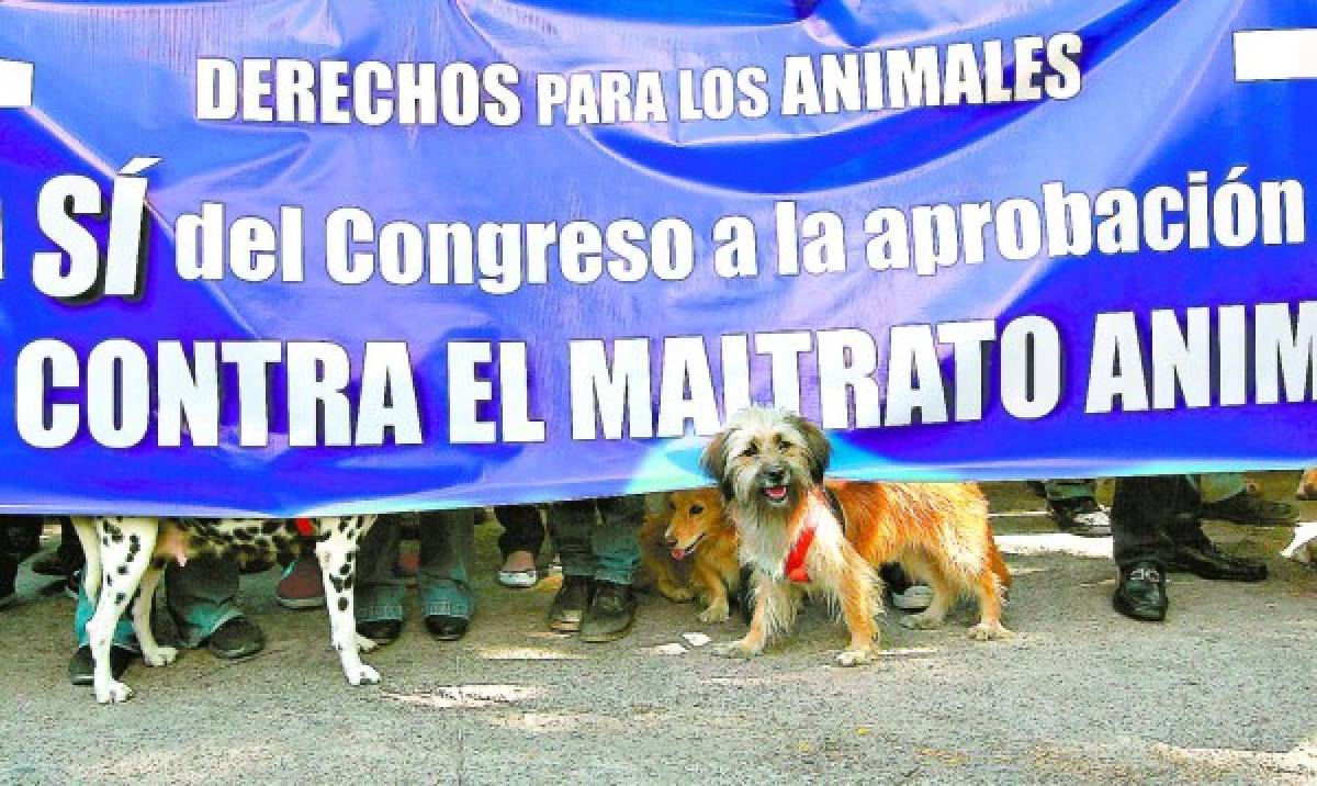 Polémica por la prohibición de razas de perros