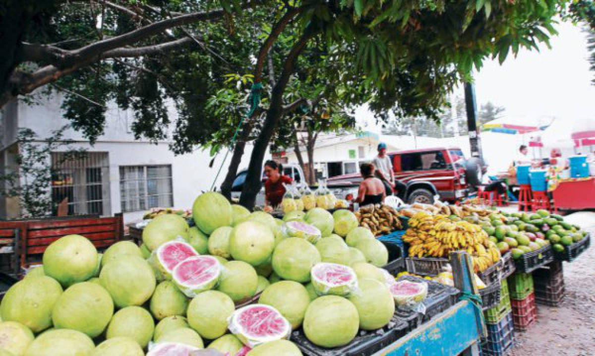 Pequeños productores cubren demanda capitalina