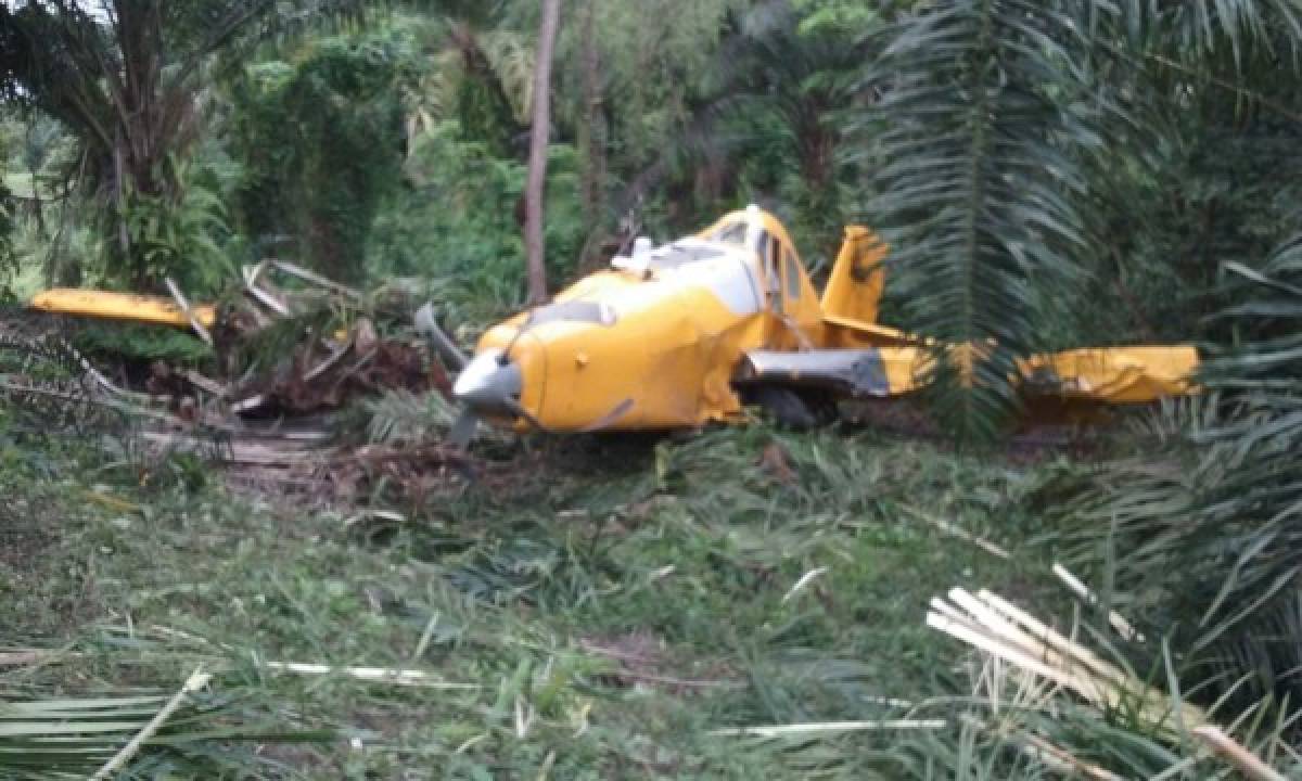 Avioneta fumigadora se accidenta en campo bananero de El Progreso, Yoro