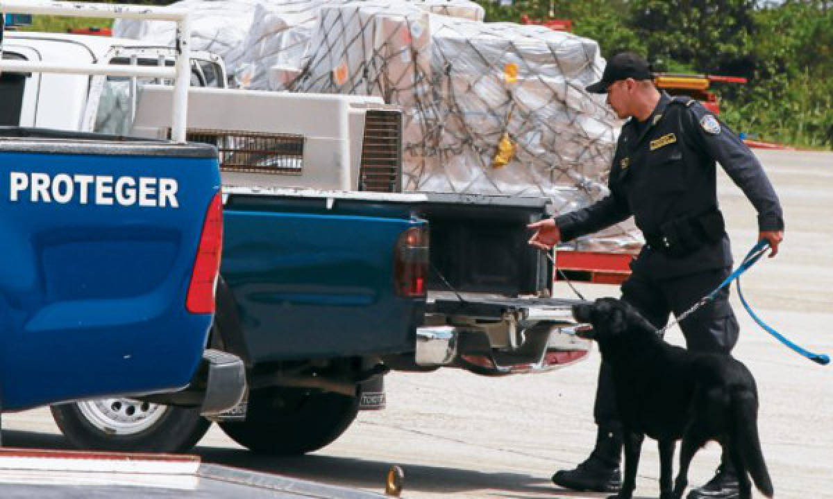 Incautan químicos para fabricar drogas en aeropuerto de Honduras