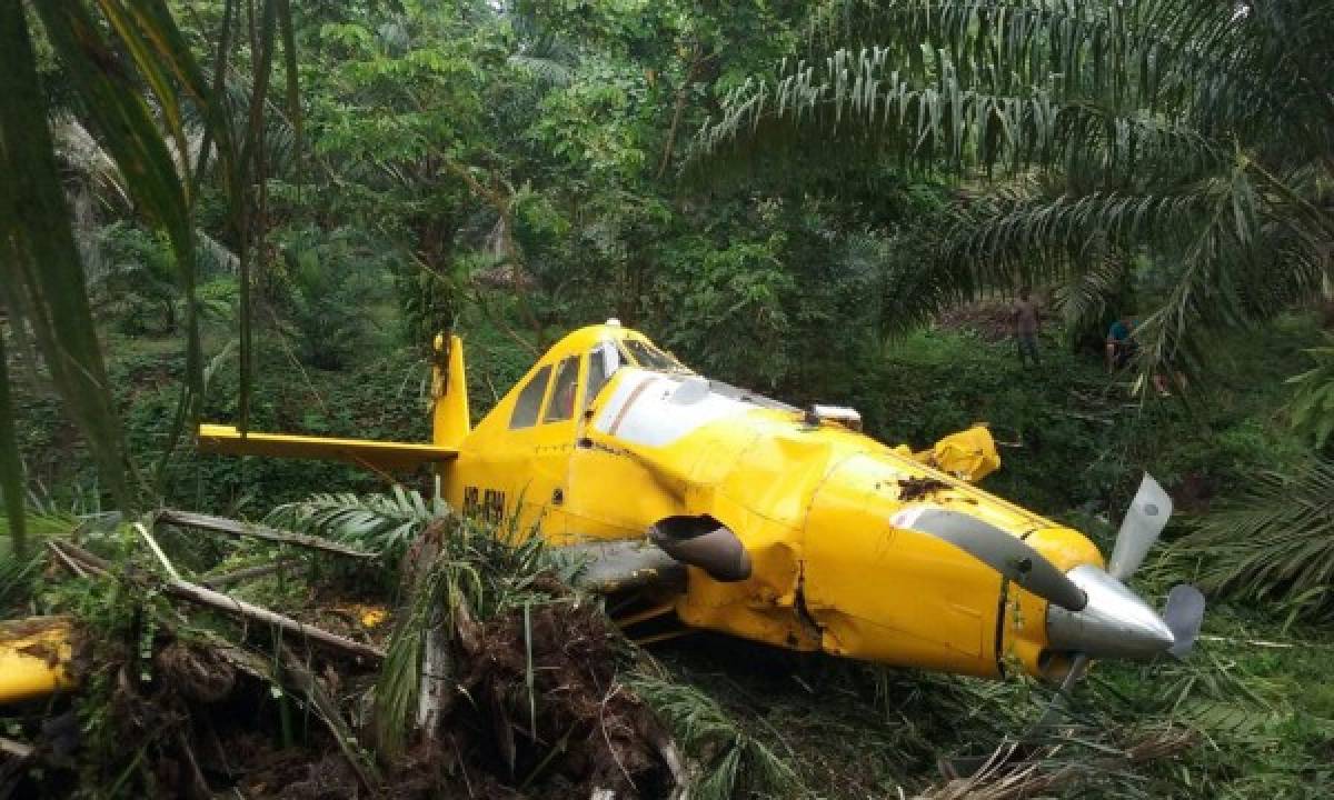 Avioneta fumigadora se accidenta en campo bananero de El Progreso, Yoro